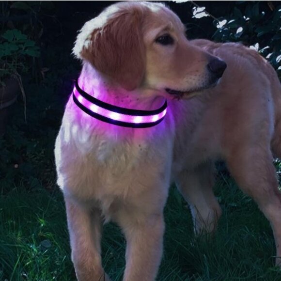Red Night Glow LED Dog Collar with Adjustable Rechargeable  Size L - Picture 1 of 6